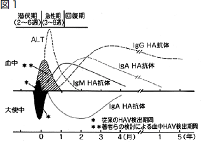 図1