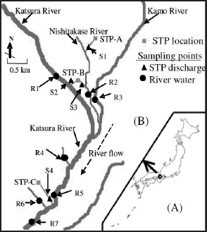 図　京都の河川のタミフル汚染