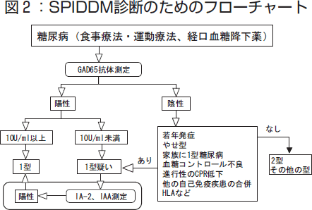 図2：SPIDDM診断のためのフローチャート
